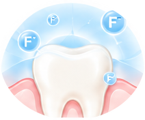 Dent entourée d’ions fluorure qui favorisent la reminéralisation de l’émail