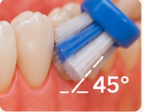 Brosse à dents inclinée à 45 degrés à la jonction entre la dent et la gencive