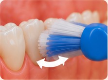 Brosse à dents placée contre la gencive, avec une flèche courbe indiquant le mouvement de rouleau