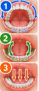Parcours numéroté de 1 à 3 : face externe, face interne, dessus des dents